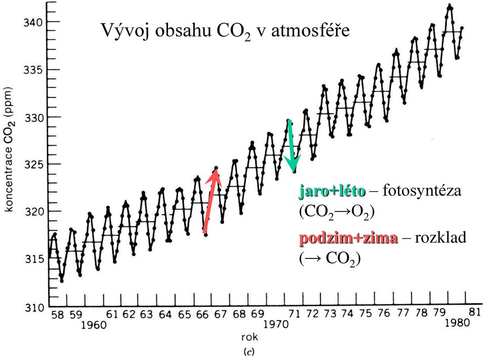 fotosyntéza (CO 2 O 2
