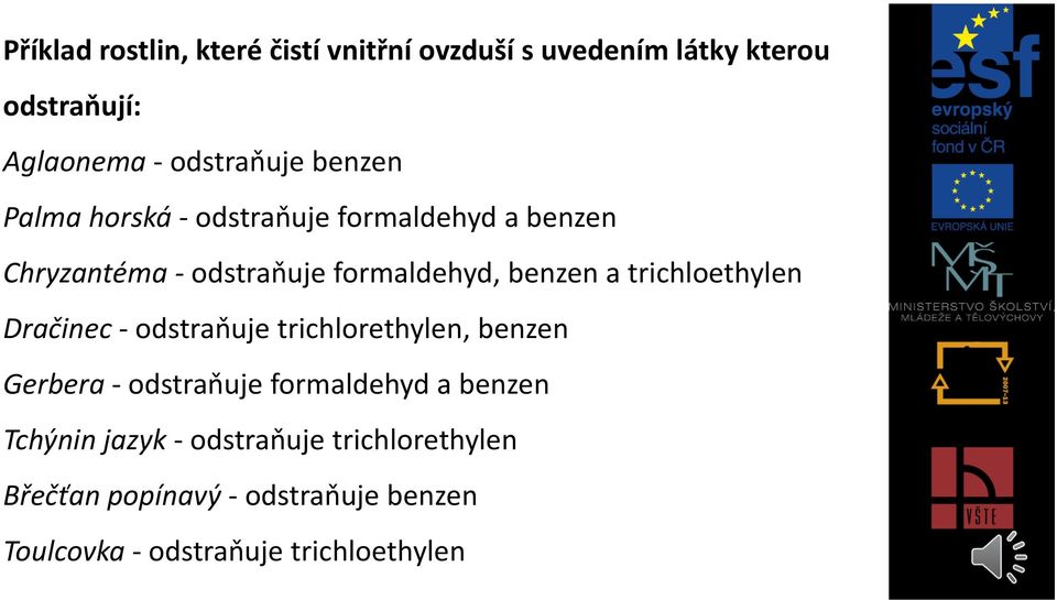 trichloethylen Dračinec - odstraňuje trichlorethylen, benzen Gerbera - odstraňuje formaldehyd a benzen