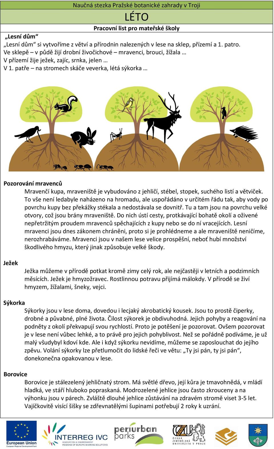 patře na stromech skáče veverka, létá sýkorka Pozorování mravenců Mravenčí kupa, mraveniště je vybudováno z jehličí, stébel, stopek, suchého listí a větviček.