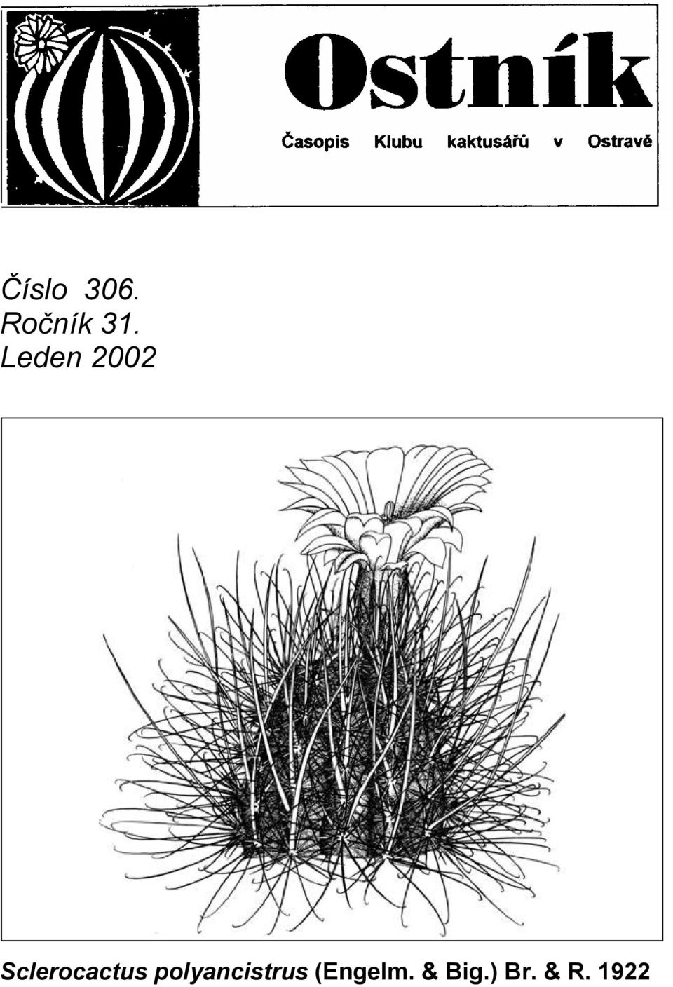 Sclerocactus