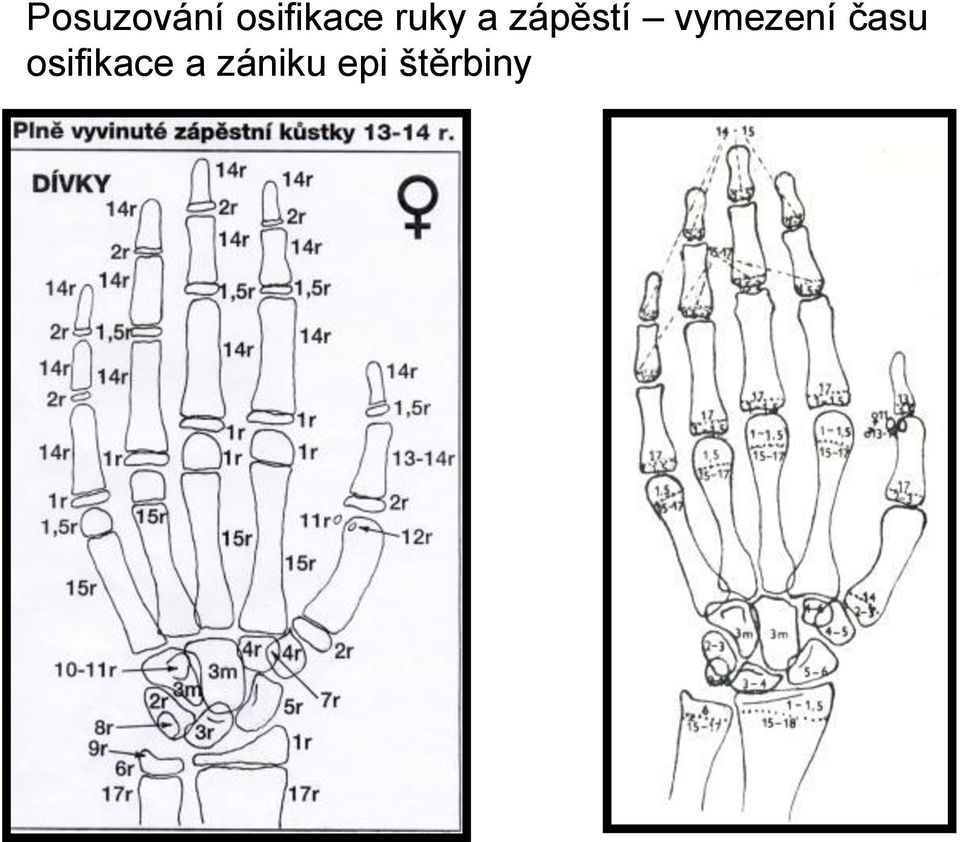 vymezení času