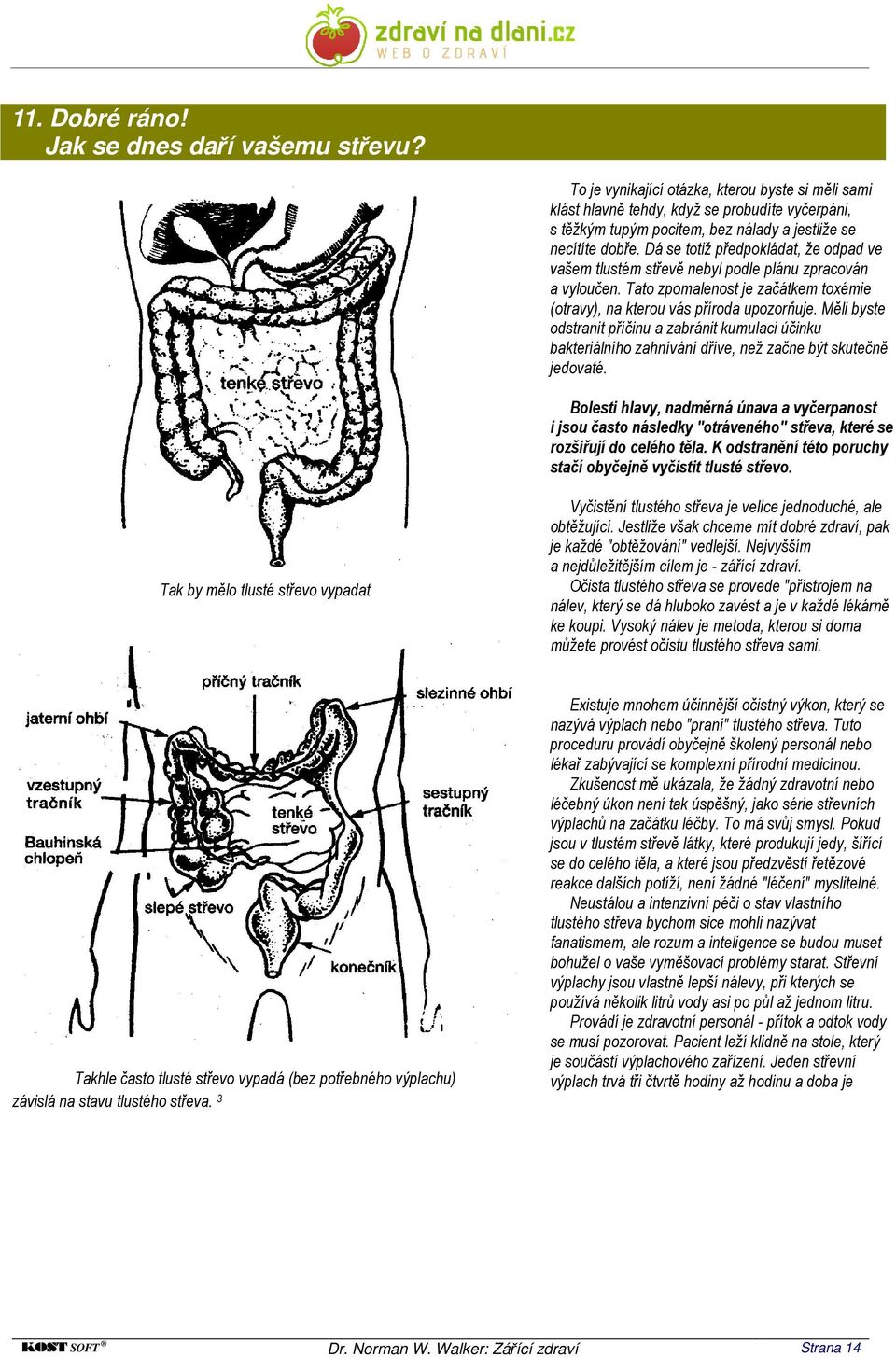 Dá se totiž předpokládat, že odpad ve vašem tlustém střevě nebyl podle plánu zpracován a vyloučen. Tato zpomalenost je začátkem toxémie (otravy), na kterou vás příroda upozorňuje.