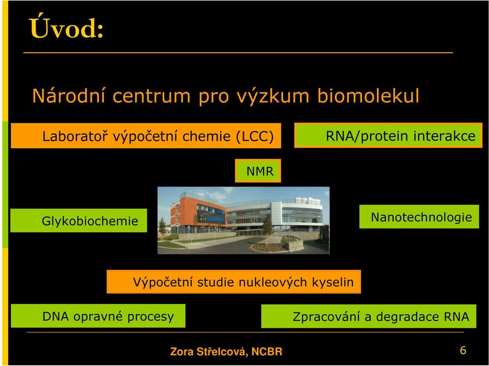 Glykobiochemie Nanotechnologie Výpočetní studie nukleových