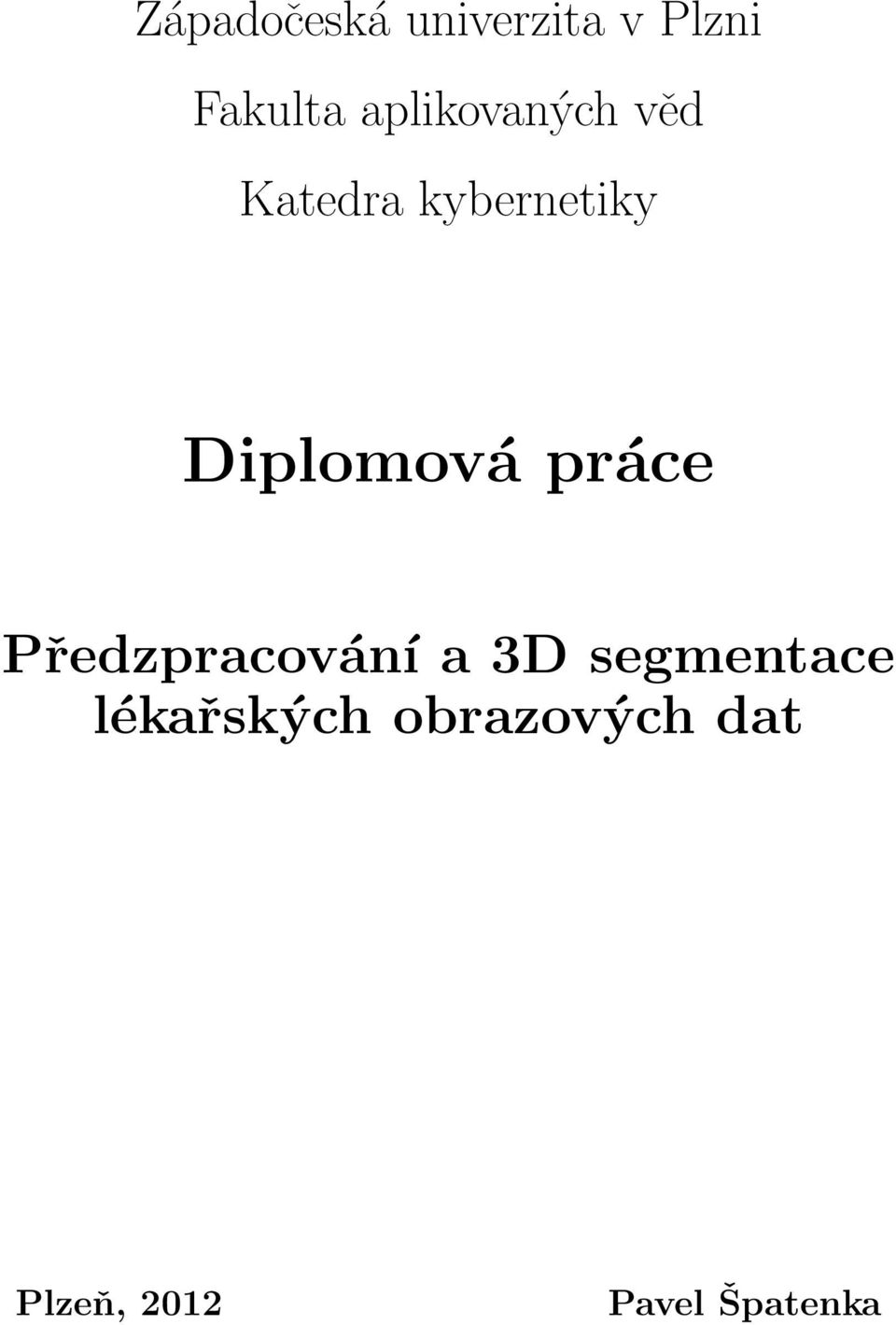 Diplomová práce Předzpracování a 3D