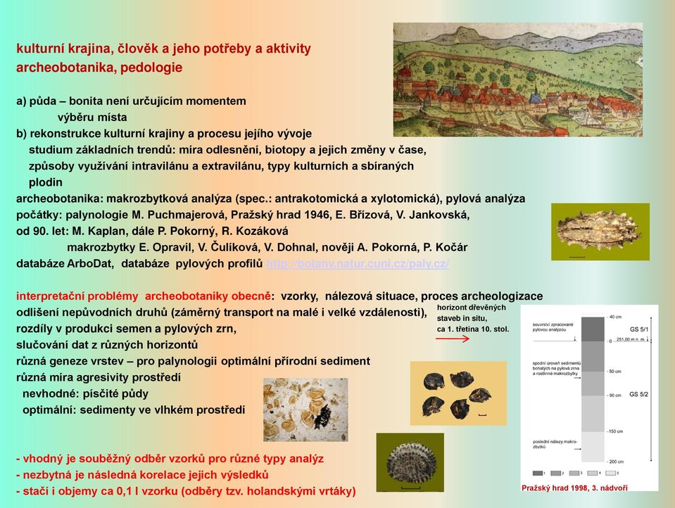 : antrakotomická a xylotomická), pylová analýza počátky: palynologie M. Puchmajerová, Pražský hrad 1946, E. Břízová, V. Jankovská, od 90. let: M. Kaplan, dále P. Pokorný, R. Kozáková makrozbytky E.