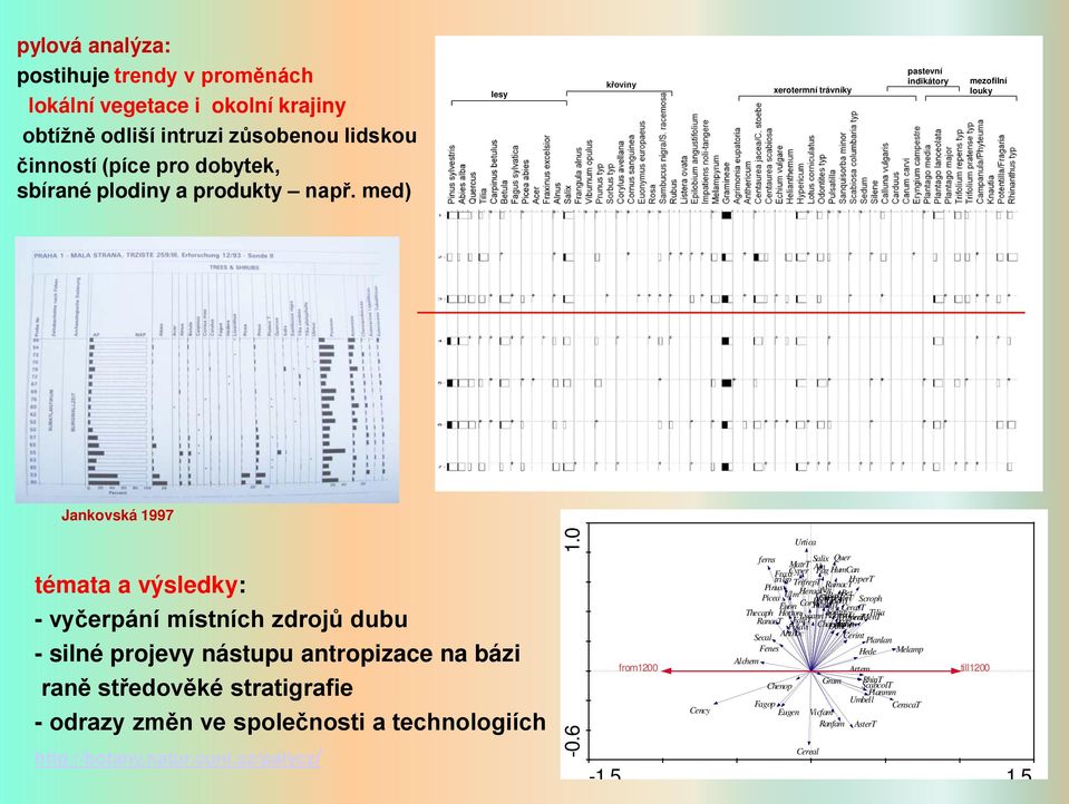 středověké stratigrafie - odrazy změn ve společnosti a technologiích http://botany.natur.cuni.cz/palycz/ -0.6 1.