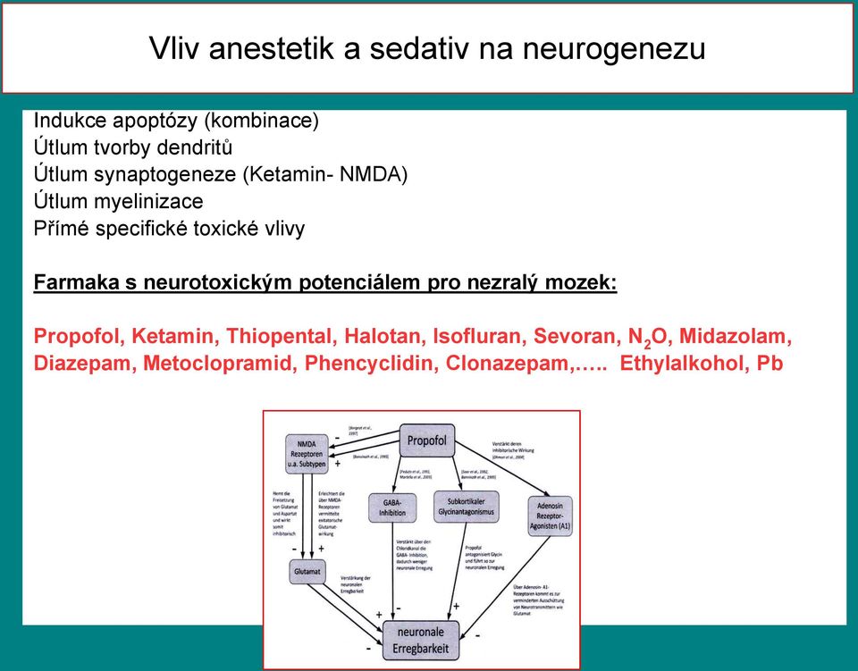 neurotoxickým potenciálem pro nezralý mozek: Propofol, Ketamin, Thiopental, Halotan,