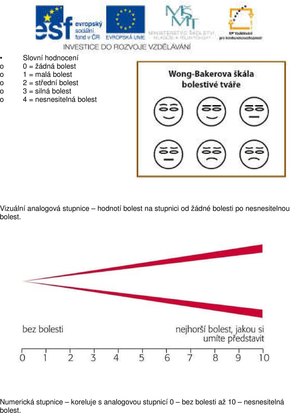 hodnotí bolest na stupnici od žádné bolesti po nesnesitelnou bolest.