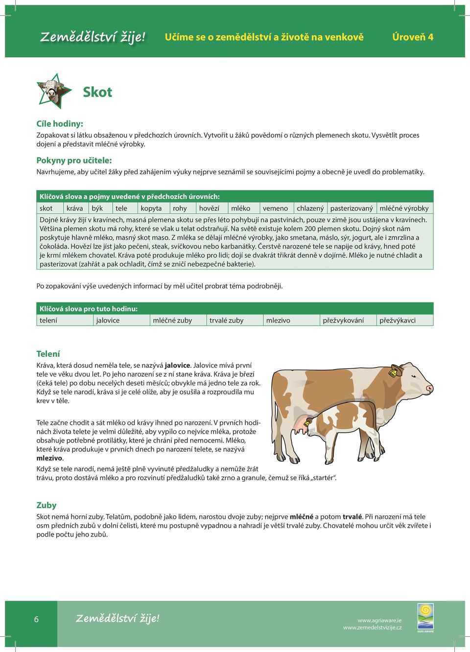 Klíčová slova a pojmy uvedené v předchozích úrovních: skot kráva býk tele kopyta rohy hovězí mléko vemeno chlazený pasterizovaný mléčné výrobky Dojné krávy žijí v kravínech, masná plemena skotu se