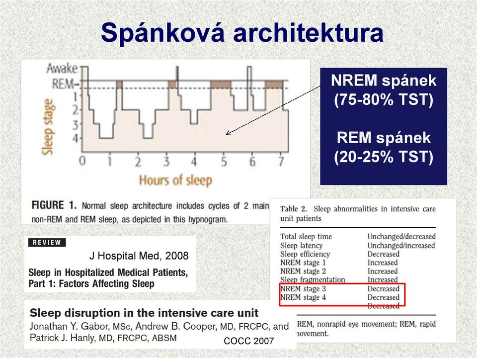 REM spánek (20-25% TST) J