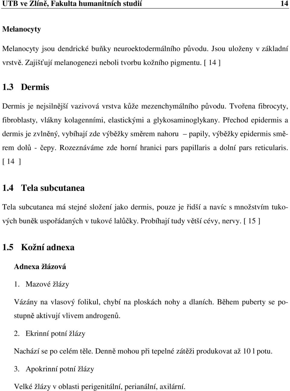 Tvořena fibrocyty, fibroblasty, vlákny kolagenními, elastickými a glykosaminoglykany.