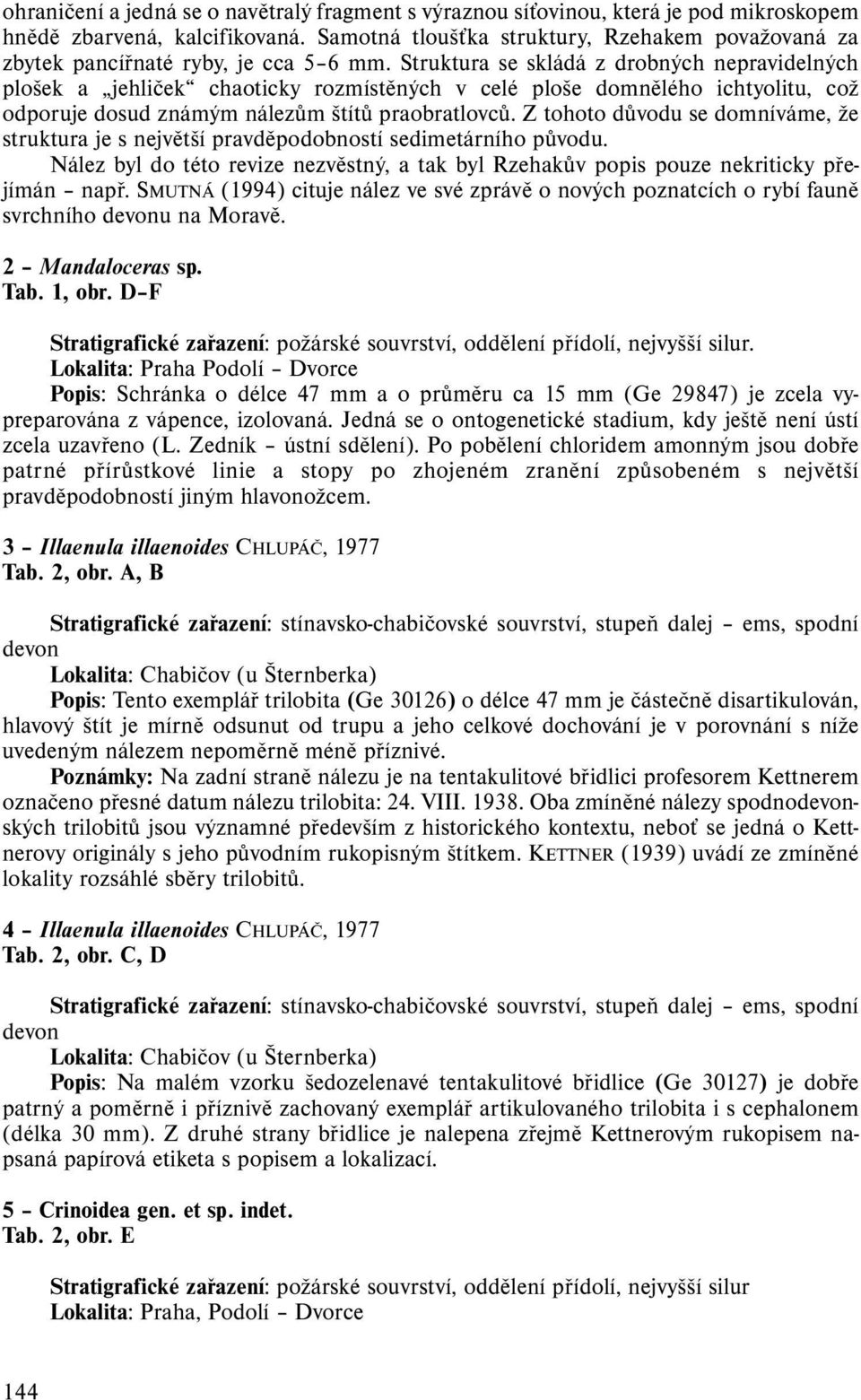 Struktura se skládá z drobných nepravidelných plošek a jehliček chaoticky rozmístěných v celé ploše domnělého ichtyolitu, což odporuje dosud známým nálezům štítů praobratlovců.