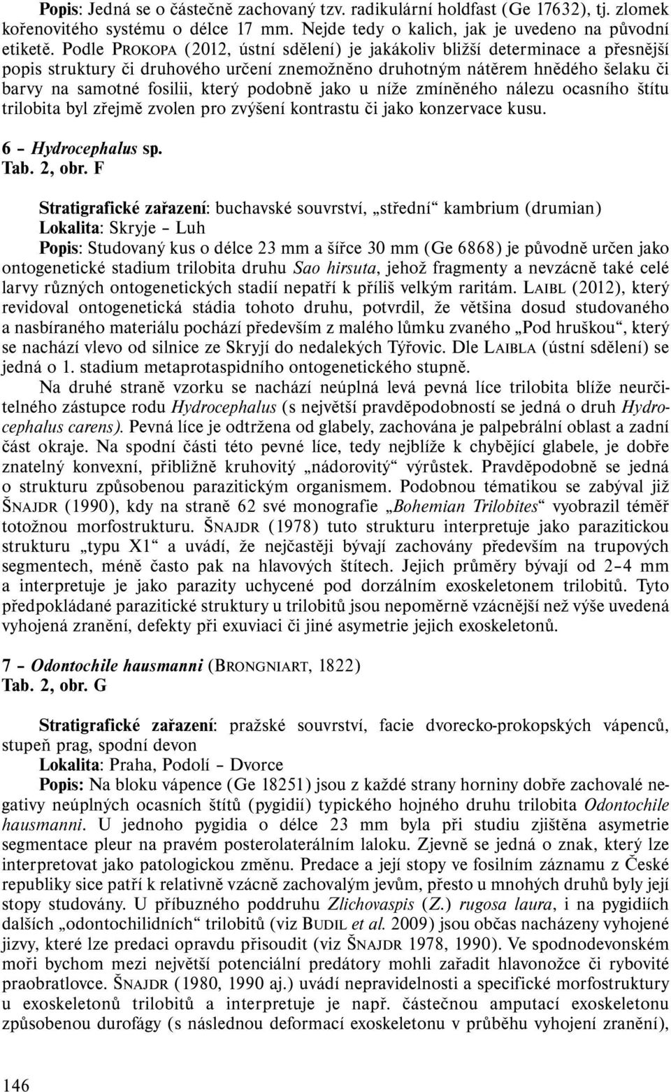 podobně jako u níže zmíněného nálezu ocasního štítu trilobita byl zřejmě zvolen pro zvýšení kontrastu či jako konzervace kusu. 6 Hydrocephalus sp. Tab. 2, obr.