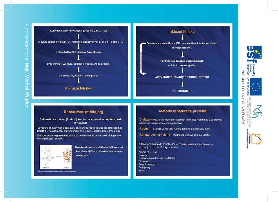 Denaturace a solubilizace (8M Urea, 6M Guanidin hydrochlorid, mercaptoethanol) Purifikace za denaturačních podmínek (afinitní chromatografie) Čistý denaturovaný solubilní protein Renaturace Metody