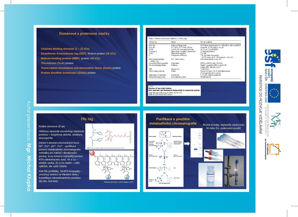 aktivita, struktura, imunogenita Afinita k atomům přechodných kovů - Ni 2+, Co 2+, Zn 2+, Cu 2+ - purifikace pomocí metaloafinitní chromatografie, metodiky pro nativní i denaturační postup, kovy