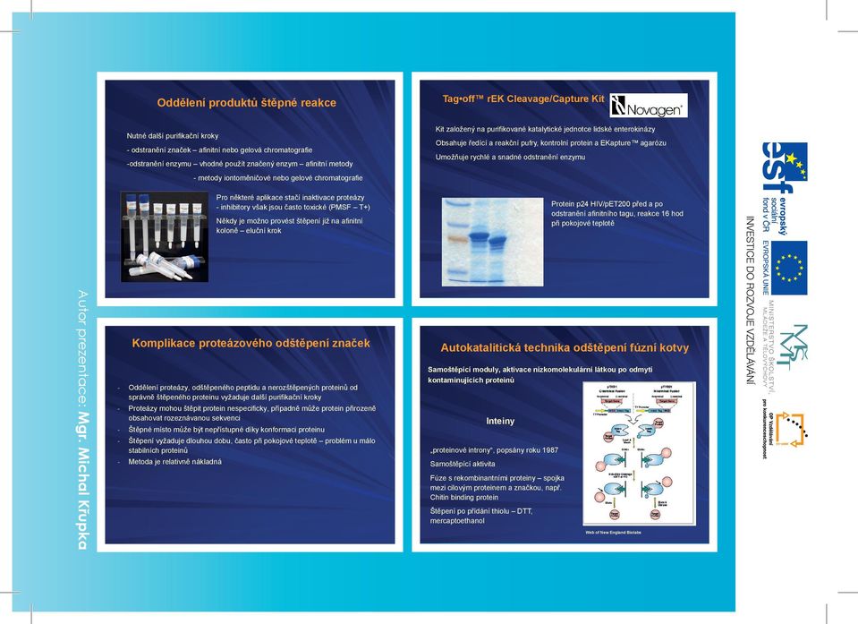 provést štěpení již na afinitní koloně eluční krok Kit založený na purifikované katalytické jednotce lidské enterokinázy Obsahuje ředící a reakční pufry, kontrolní protein a EKapture agarózu Umožňuje