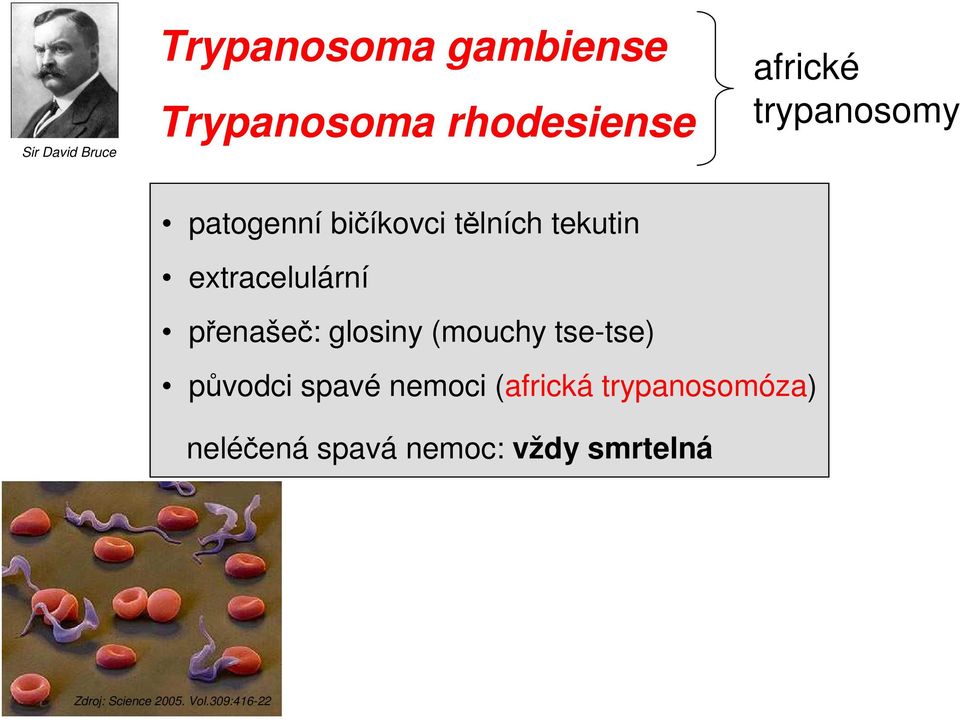 přenašeč: glosiny (mouchy tse-tse) původci spavé nemoci (africká