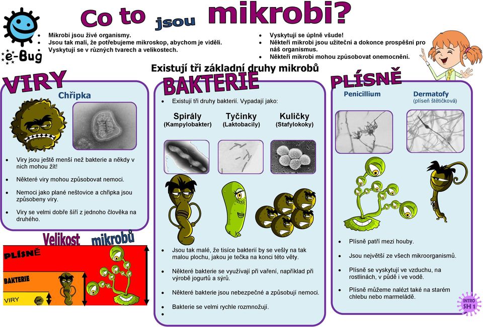 Existují tři základní druhy mikrobů Chřipka Existují tři druhy bakterií.