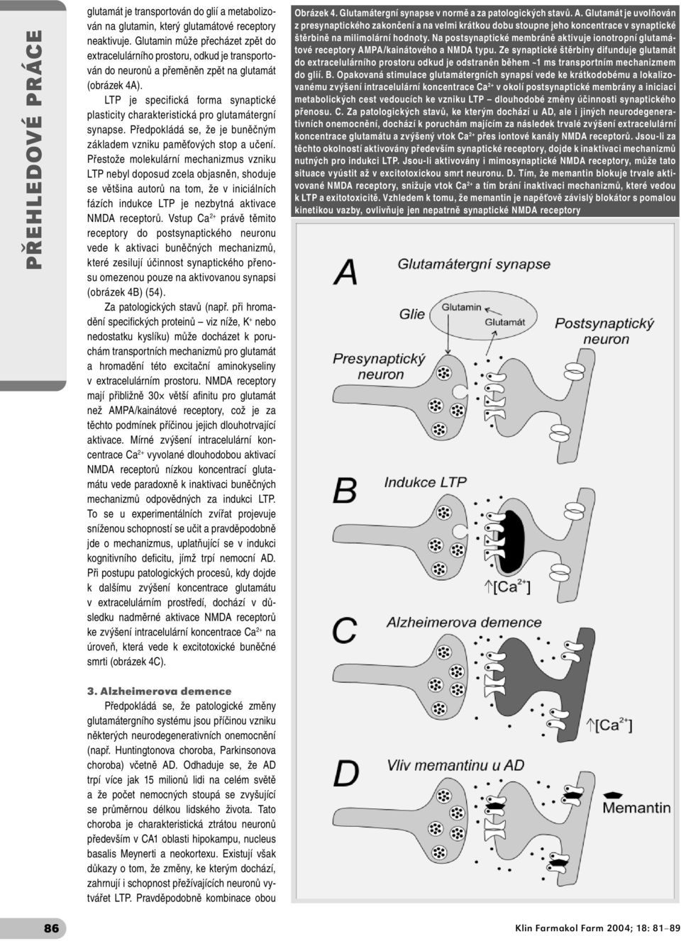 LTP je specifická forma synaptické plasticity charakteristická pro glutamátergní synapse. Předpokládá se, že je buněčným základem vzniku paměťových stop a učení.