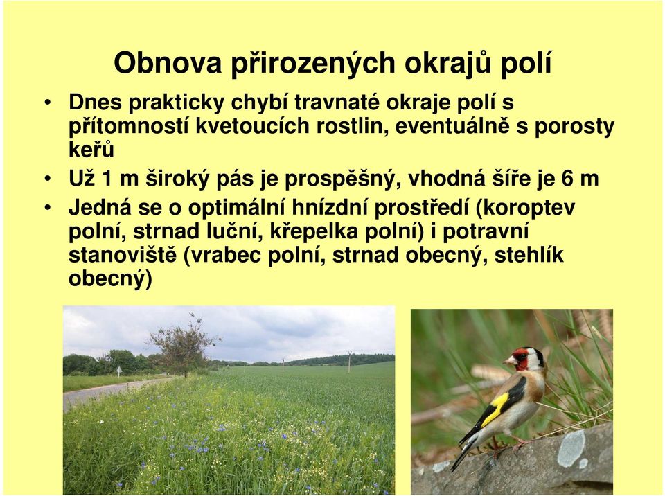 prospěšný, vhodná šíře je 6 m Jedná se o optimální hnízdní prostředí (koroptev