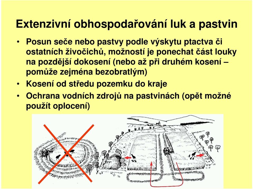 dokosení (nebo až při druhém kosení pomůže zejména bezobratlým) Kosení od