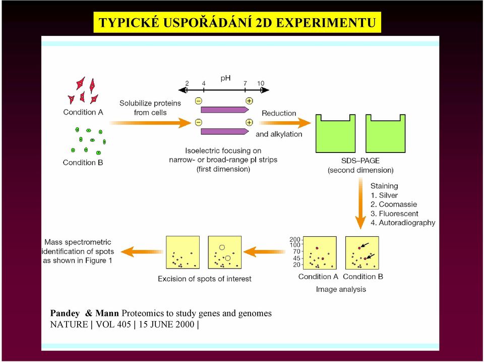 Proteomics to study genes