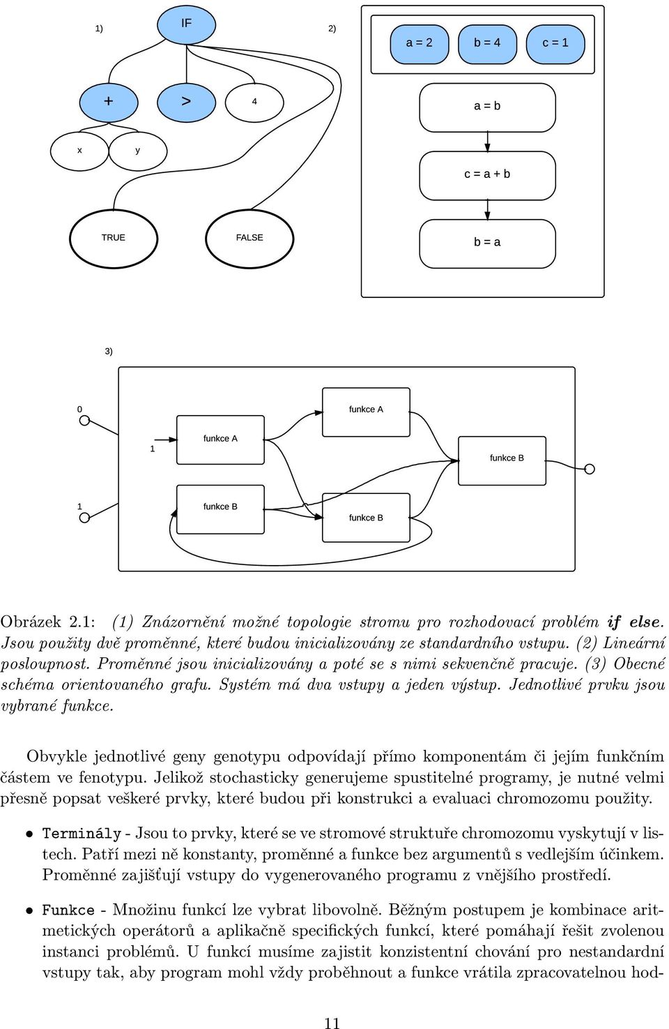 Obvykle jednotlivé geny genotypu odpovídají přímo komponentám či jejím funkčním částem ve fenotypu.