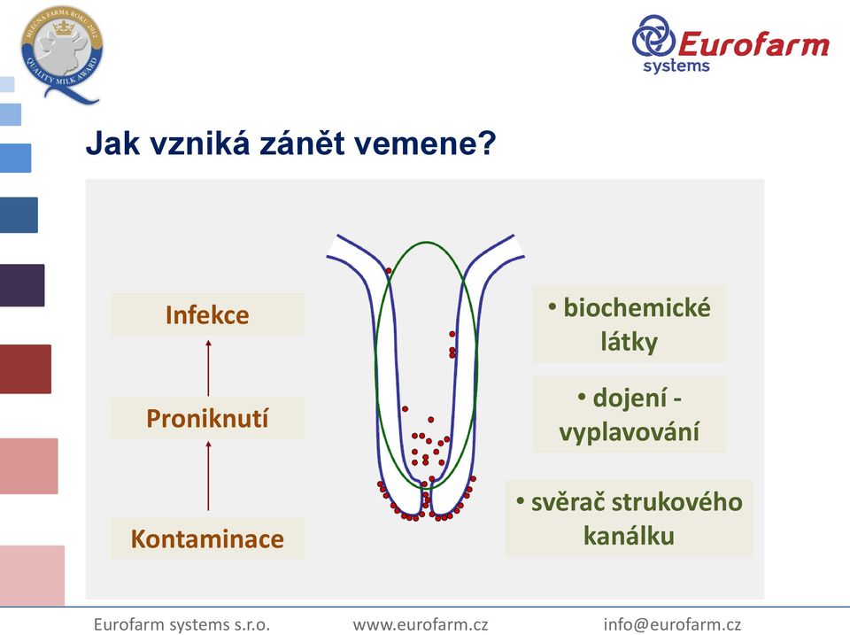 Kontaminace biochemické látky