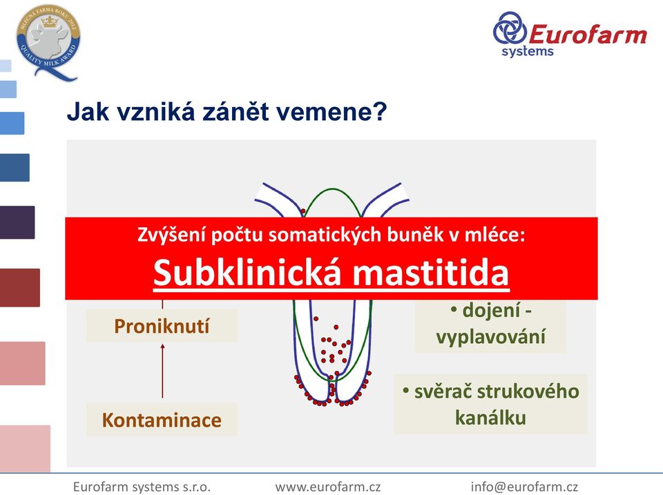 biochemické v mléce: látky Subklinická