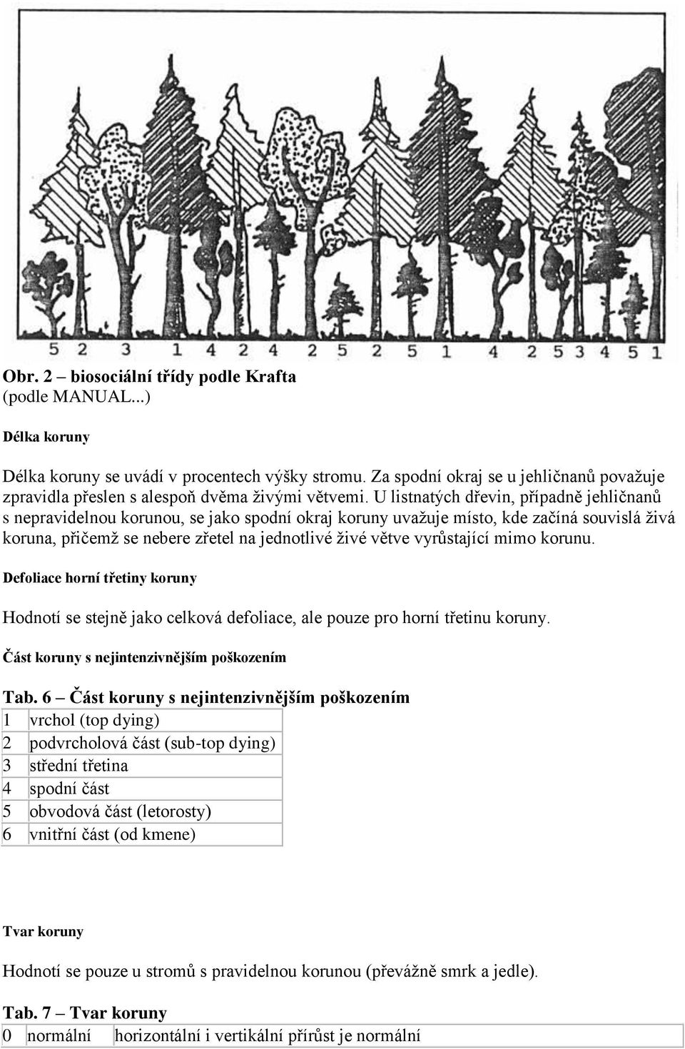 U listnatých dřevin, případně jehličnanů s nepravidelnou korunou, se jako spodní okraj koruny uvažuje místo, kde začíná souvislá živá koruna, přičemž se nebere zřetel na jednotlivé živé větve