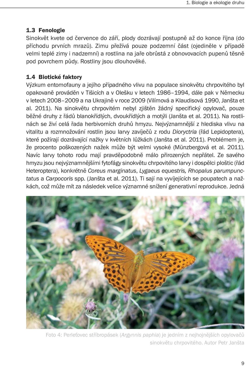4 Biotické faktory Výzkum entomofauny a jejího případného vlivu na populace sinokvětu chrpovitého byl opakovaně prováděn v Tišicích a v Olešku v letech 1986 1994, dále pak v Německu v letech 2008