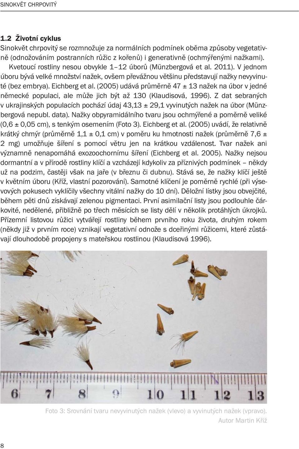 (2005) udává průměrně 47 ± 13 nažek na úbor v jedné německé populaci, ale může jich být až 130 (Klaudisová, 1996).