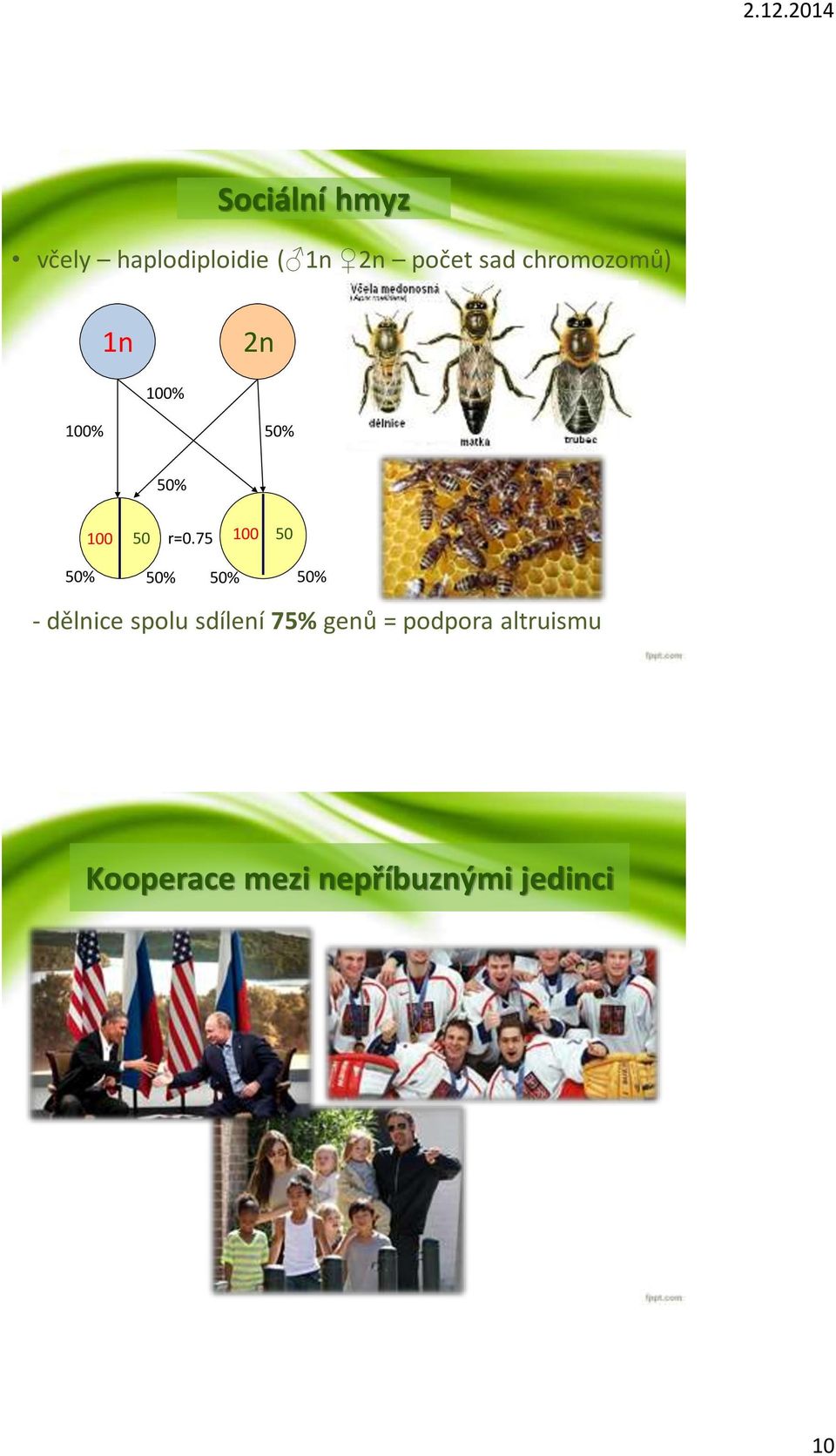 75 100 50 50% 50% 50% 50% - dělnice spolu sdílení 75%