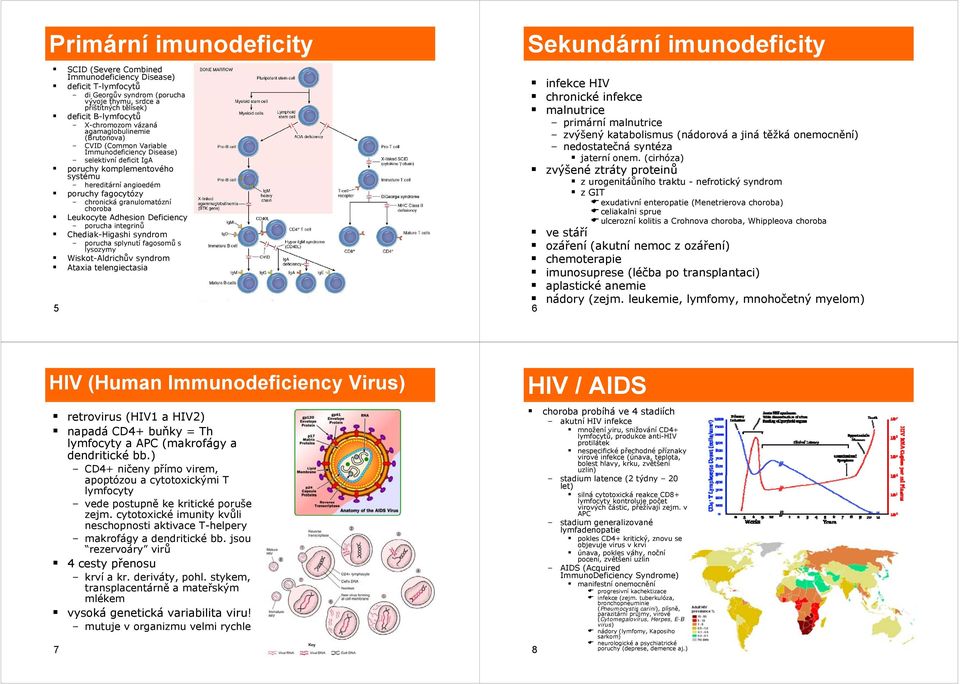 granulomatózní choroba Leukocyte Adhesion Deficiency porucha integrinů Chediak-Higashi syndrom porucha splynutí fagosomů s lysozymy Wiskot-Aldrichův syndrom Ataxia telengiectasia 5 Sekundární