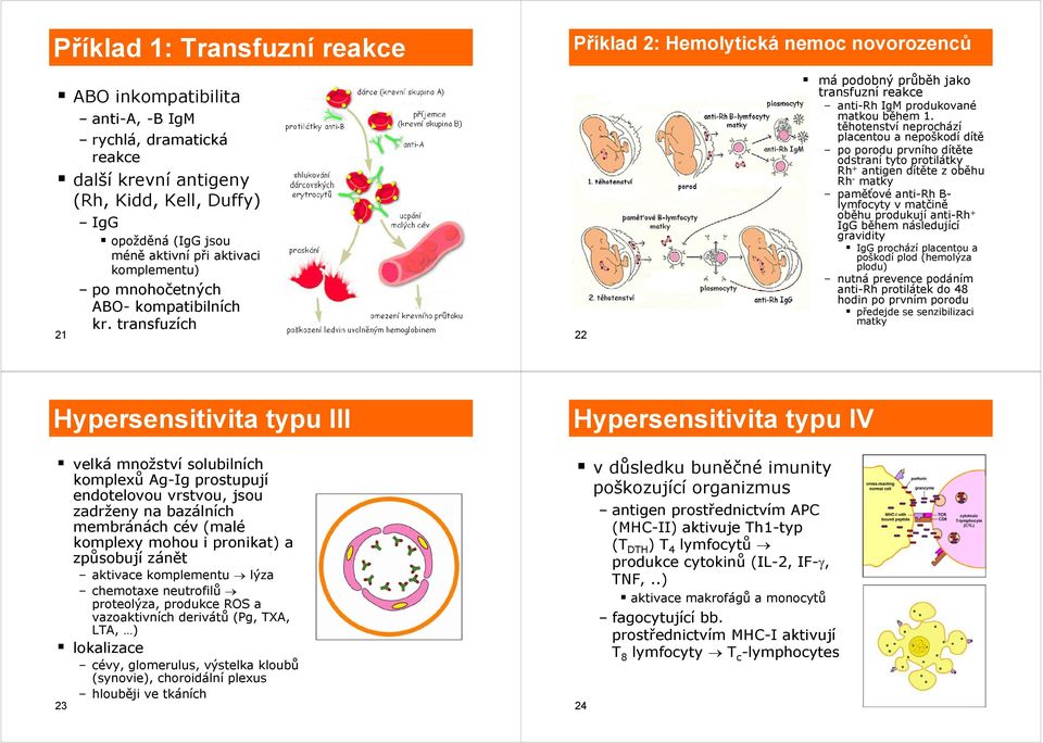 těhotenství neprochází placentou a nepoškodí dítě po porodu prvního dítěte ě odstraní tyto protilátky Rh + antigen dítěte z oběhu Rh - matky paměťové anti-rh B- lymfocyty v matčině oběhu produkují