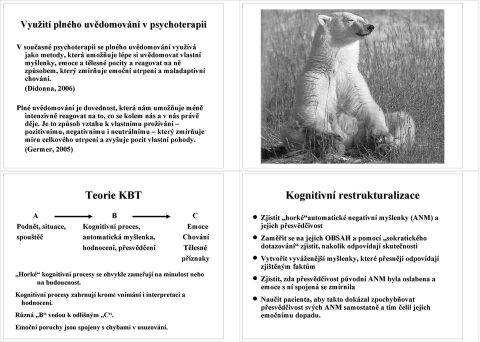 Je to způsob vztahu k vlastnímu prožívání pozitivnímu, negativnímu i neutrálnímu který zmírňuje míru celkového utrpení a zvyšuje pocit vlastní pohody.