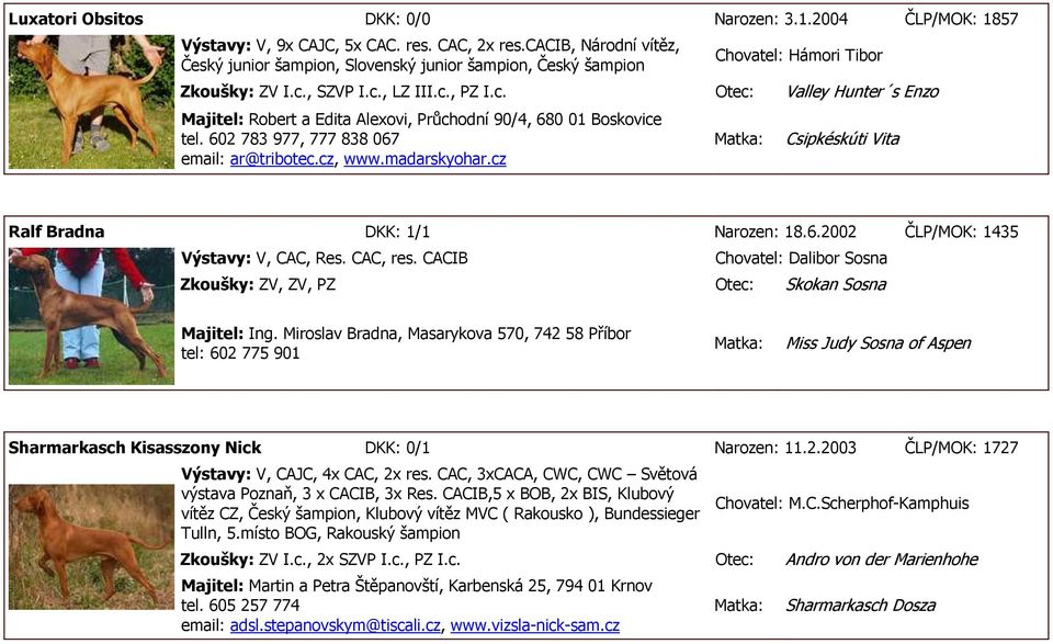 602 783 977, 777 838 067 email: ar@tribotec.cz, www.madarskyohar.cz Csipkéskúti Vita Ralf Bradna DKK: 1/1 Narozen: 18.6.2002 ČLP/MOK: 1435 Výstavy: V, CAC, Res. CAC, res.