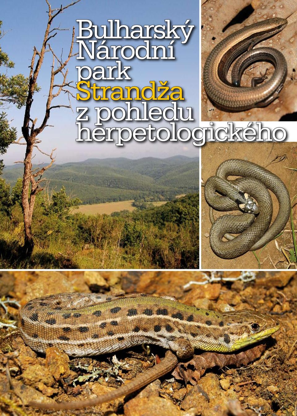 herpetologického 50