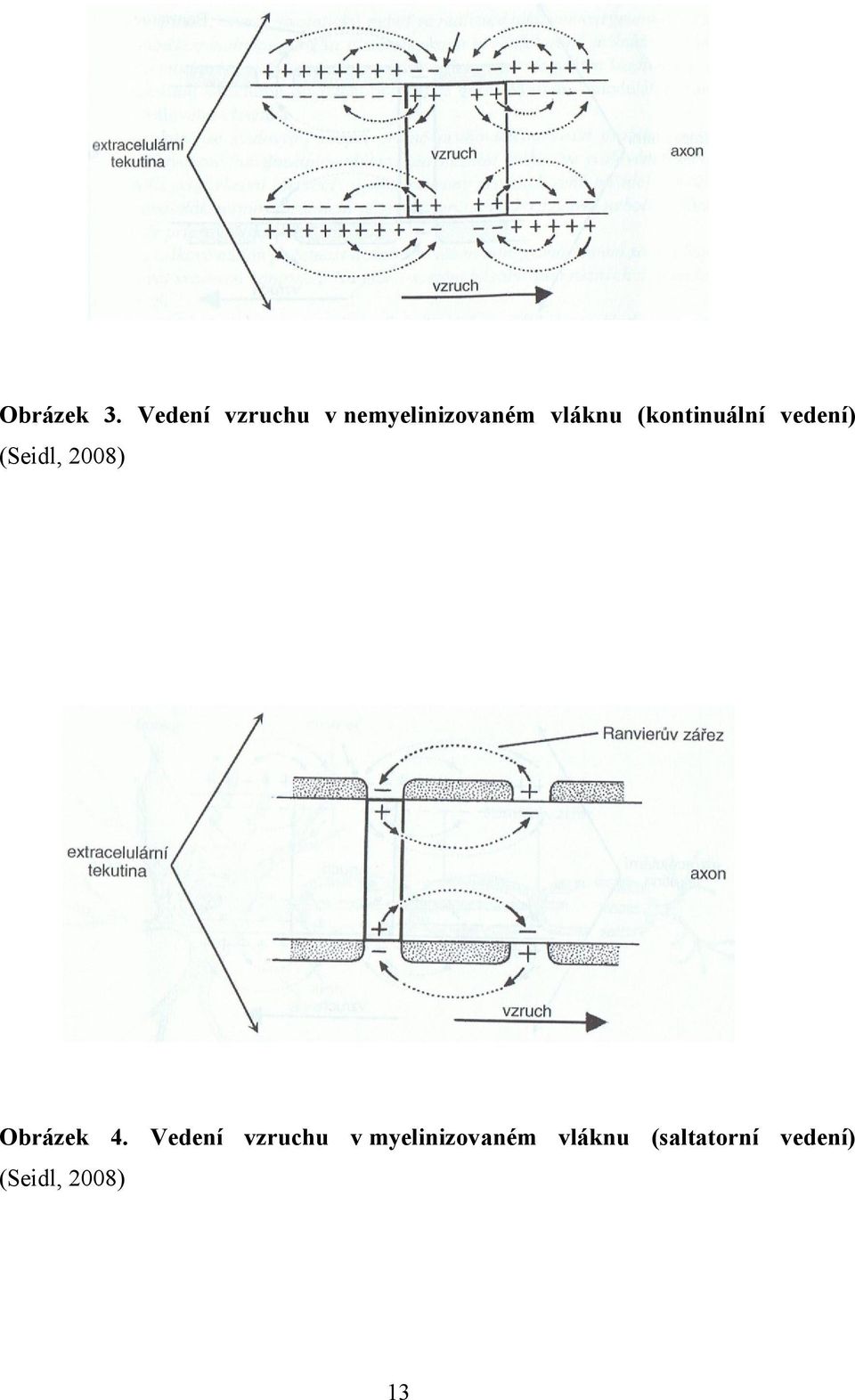 (kontinuální vedení) (Seidl, 2008) Obrázek