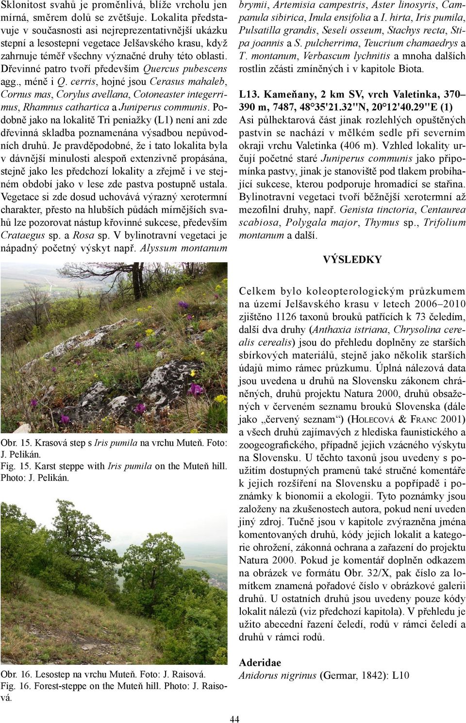 Dřevinné patro tvoří především Quercus pubescens agg., méně i Q. cerris, hojné jsou Cerasus mahaleb, Cornus mas, Corylus avellana, Cotoneaster integerrimus, Rhamnus cathartica a Juniperus communis.