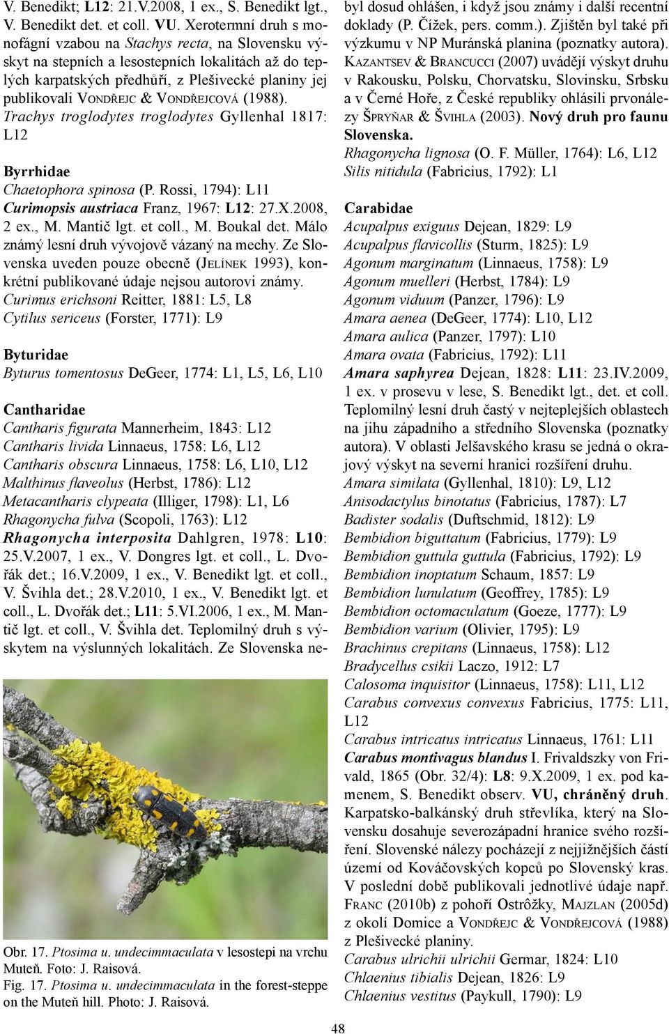 VONDŘEJCOVÁ (1988). Trachys troglodytes troglodytes Gyllenhal 1817: Byrrhidae Chaetophora spinosa (P. Rossi, 1794): L11 Curimopsis austriaca Franz, 1967: : 27.X.2008, 2 ex., M. Mantič lgt. et coll.