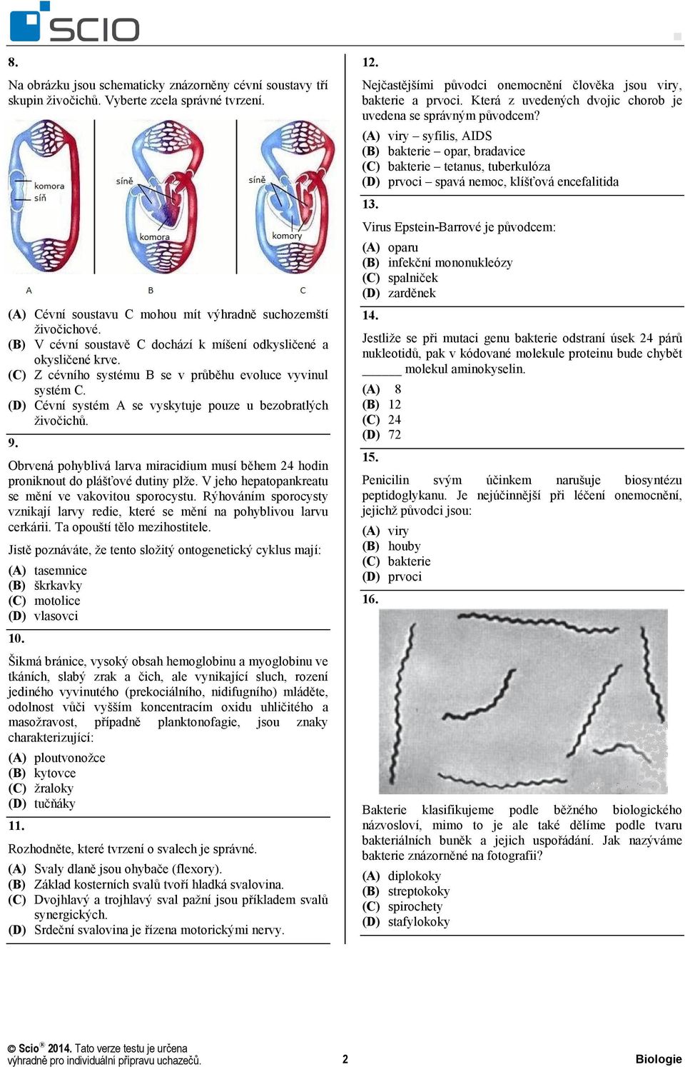 Obrvená pohyblivá larva miracidium musí během 24 hodin proniknout do plášťové dutiny plže. V jeho hepatopankreatu se mění ve vakovitou sporocystu.