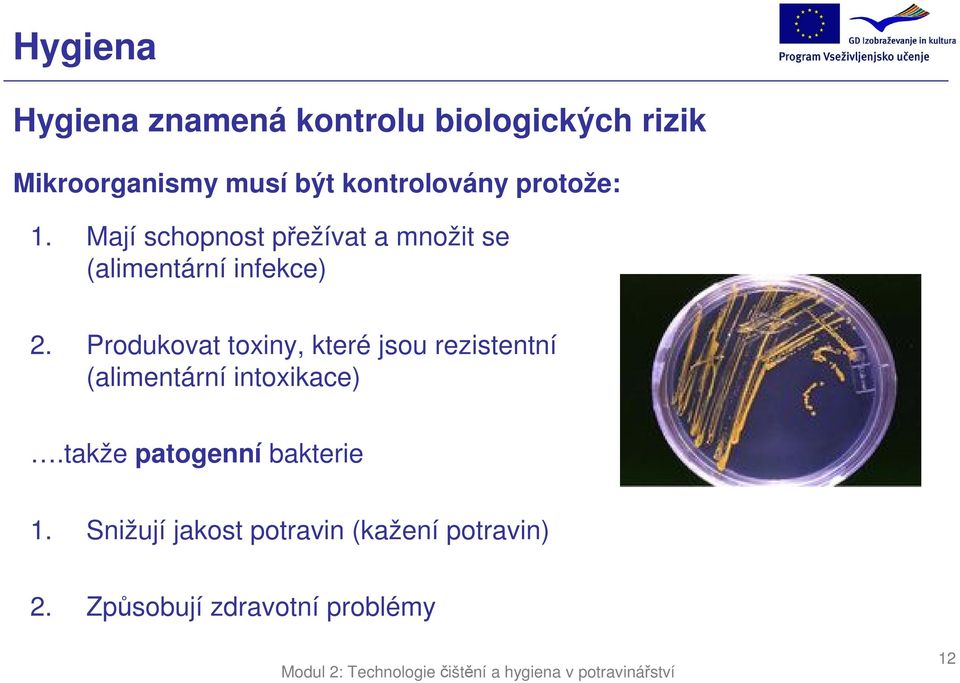 Mají schopnost přežívat a množit se (alimentární infekce) 2.