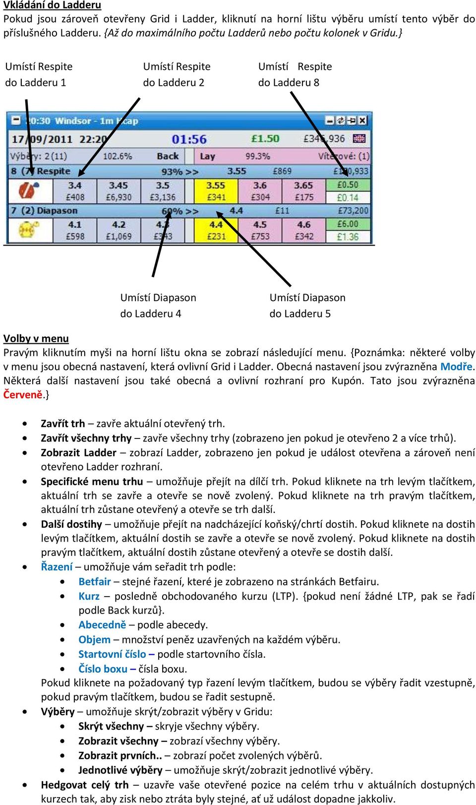 se zobrazí následující menu. {Poznámka: některé volby v menu jsou obecná nastavení, která ovlivní Grid i Ladder. Obecná nastavení jsou zvýrazněna Modře.