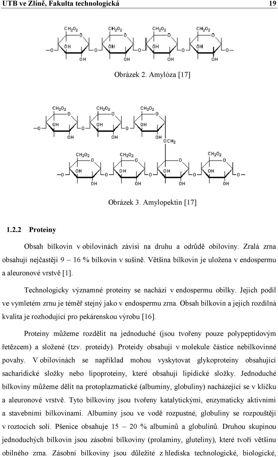 Obsah bílkovin a jejich rozdílná kvalita je rozhodující pro pekárenskou výrobu [16]. Proteiny můžeme rozdělit na jednoduché (jsou tvořeny pouze polypeptidovým řetězcem) a složené (tzv. proteidy).