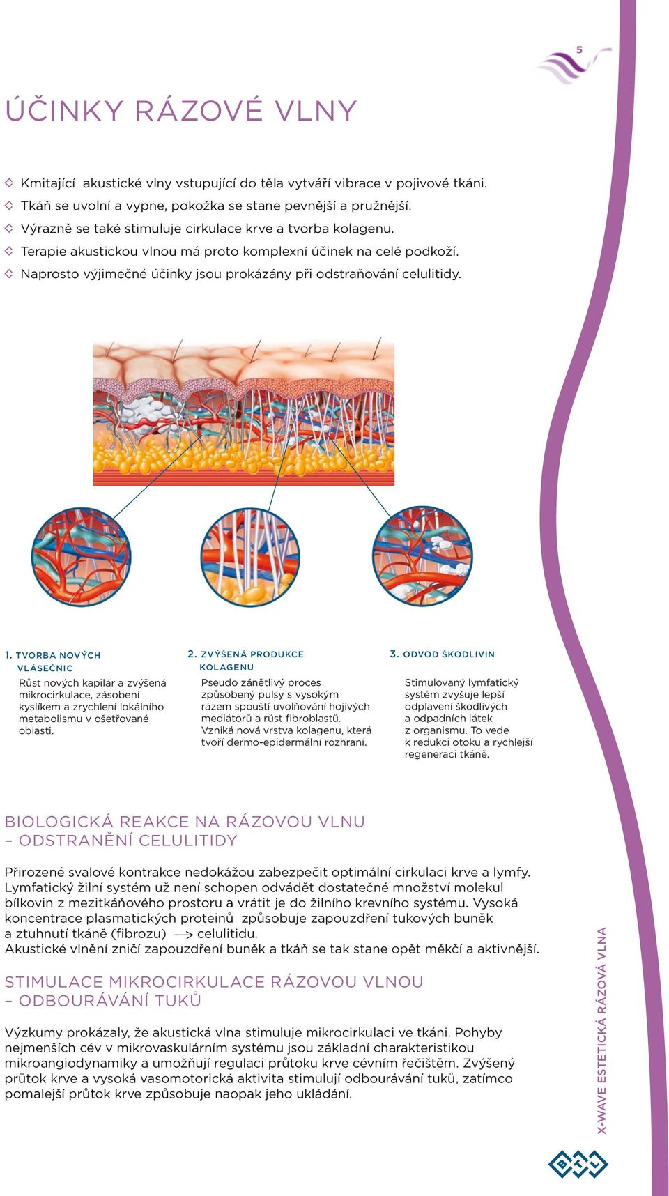 tvorba nových 2. Zvýšená produkce vlásečnic kolagenu Růst nových kapilár a zvýšená mikrocirkulace, zásobení kyslíkem a zrychlení lokálního metabolismu v ošetřované oblasti.