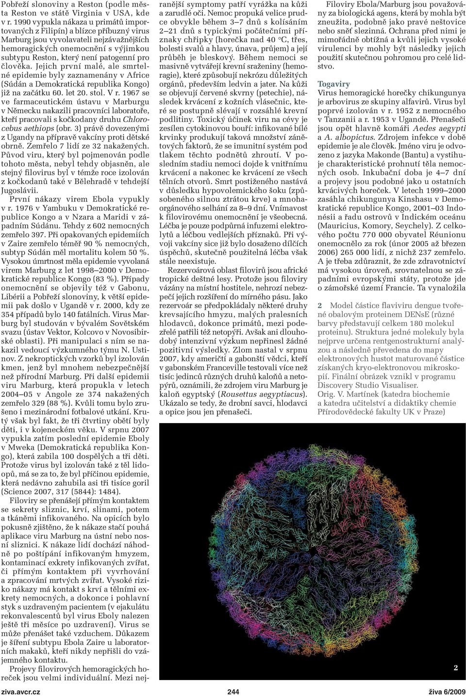 člověka. Jejich první malé, ale smrtel - né epidemie byly zaznamenány v Africe (Súdán a Demokratická republika Kongo) již na začátku 60. let 20. stol. V r.