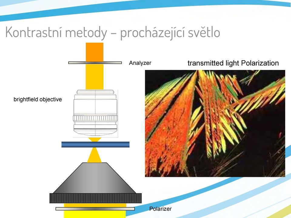 Analyzer transmitted light