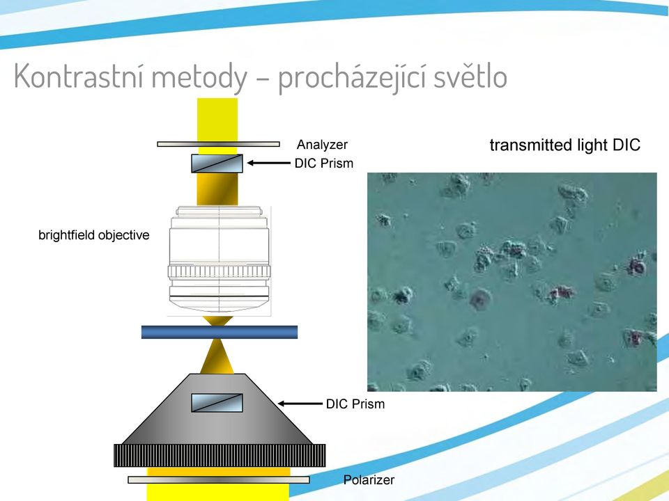 DIC Prism transmitted light