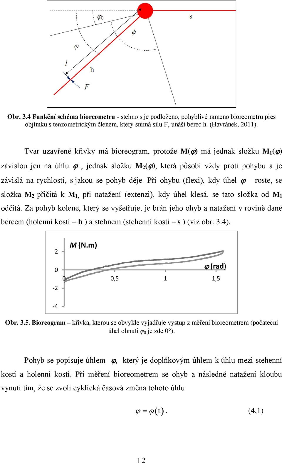 Při ohybu (flexi), kdy úhel roste, se složka M 2 přičítá k M 1, při natažení (extenzi), kdy úhel klesá, se tato složka od M 1 odčítá.